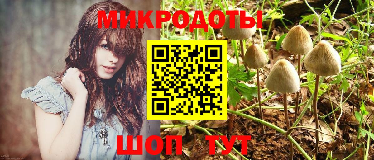 Галлюциногенные грибы ЛСД Елабуга
